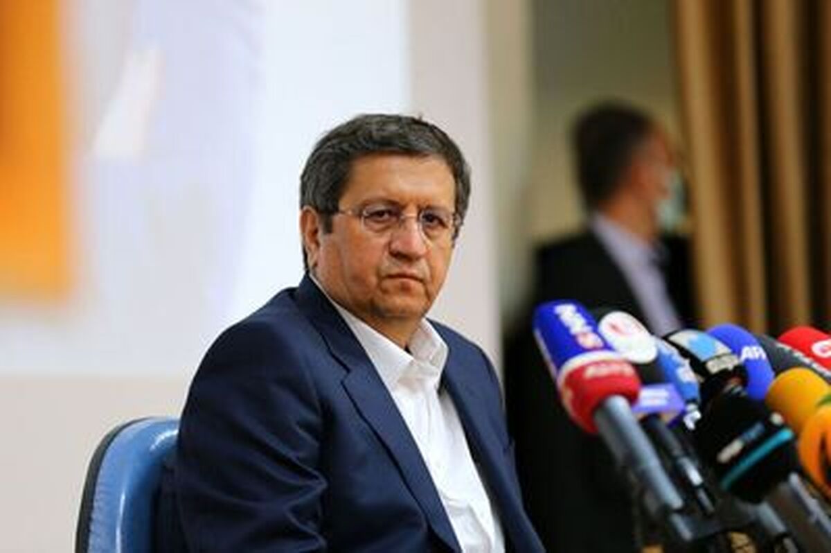 همتی خطاب به دولت: برای تصمیمات و برنامه های خود فکر هم می کنید؟