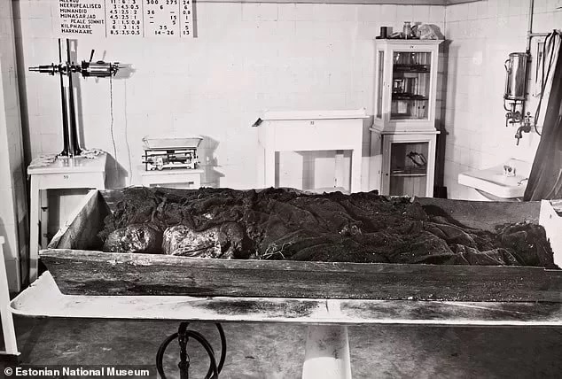 کشف اسرار جدید از مومیایی‌های باتلاقی ۷ هزار ساله (+عکس)