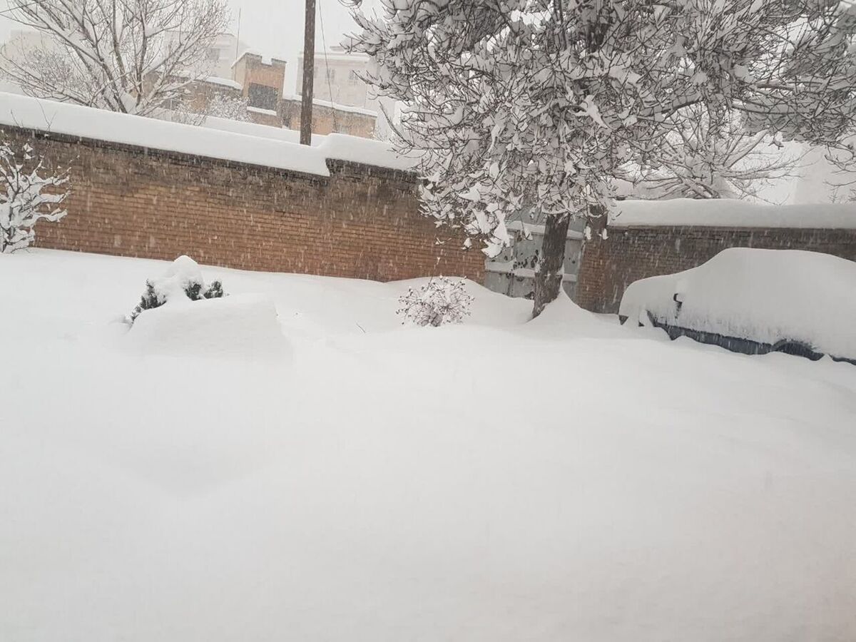 ارتفاع برف در همدان امشب به بالای نیم متر می رسد