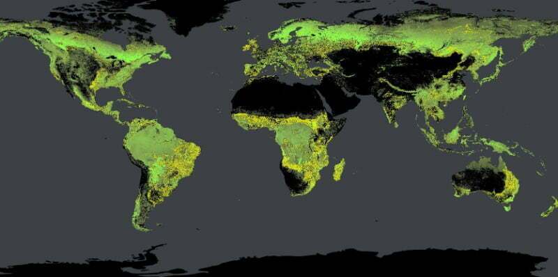 جایگاه ایران در برنامه جهانی کاشت 1 تریلیون درخت تا سال 2030