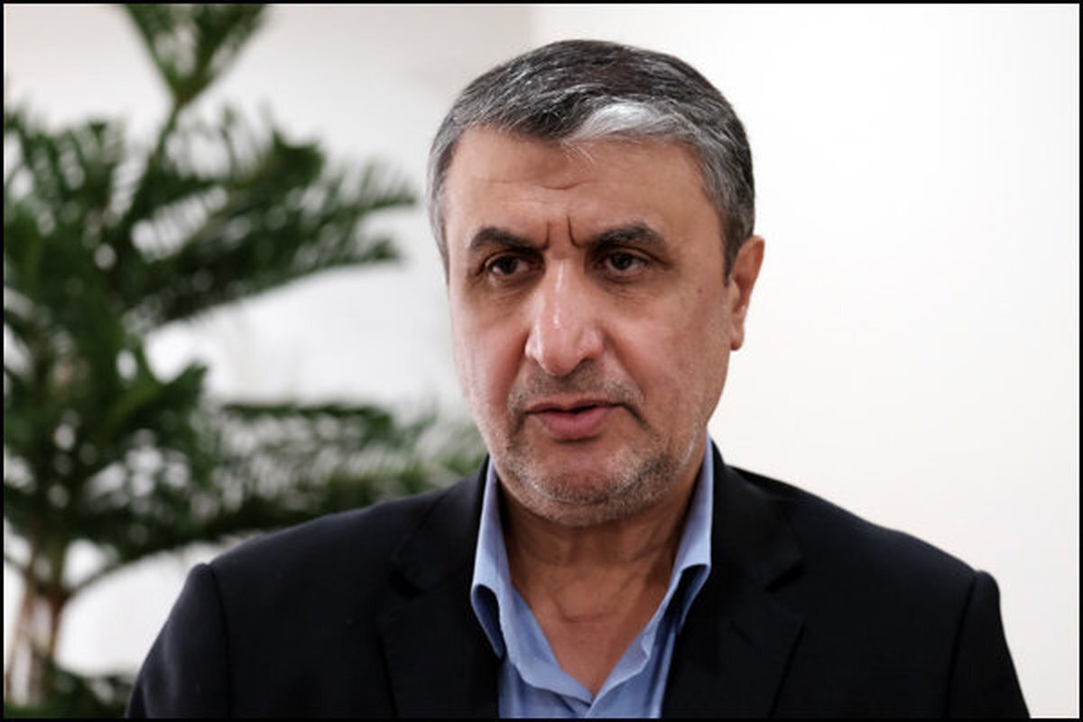  رئیس سازمان انرژی اتمی: دشمن هیچ گزینه‌ای جز دیپلماسی ندارد