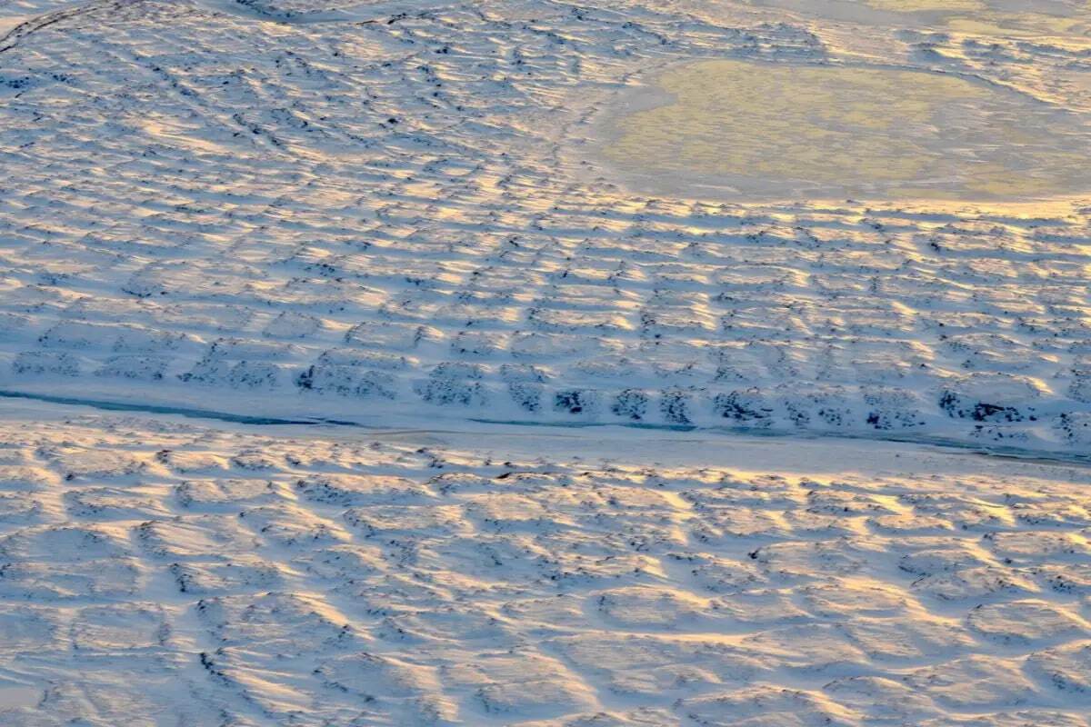 سر برآوردن «ویروس زامبی» از دل خاک منجمد سیبری پس از ۴۸ هزار سال سر برآوردن «ویروس زامبی» از دل خاک منجمد سیبری پس از ۴۸ هزار سال