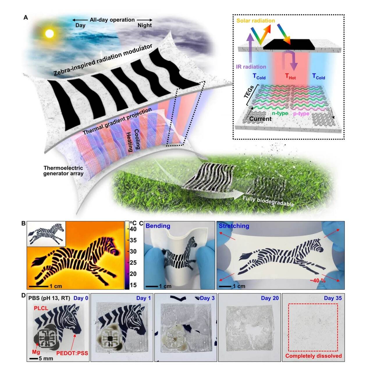 تولید برق با الهام از پوست راه راه گور خر تولید برق با الهام از پوست راه راه گور خر