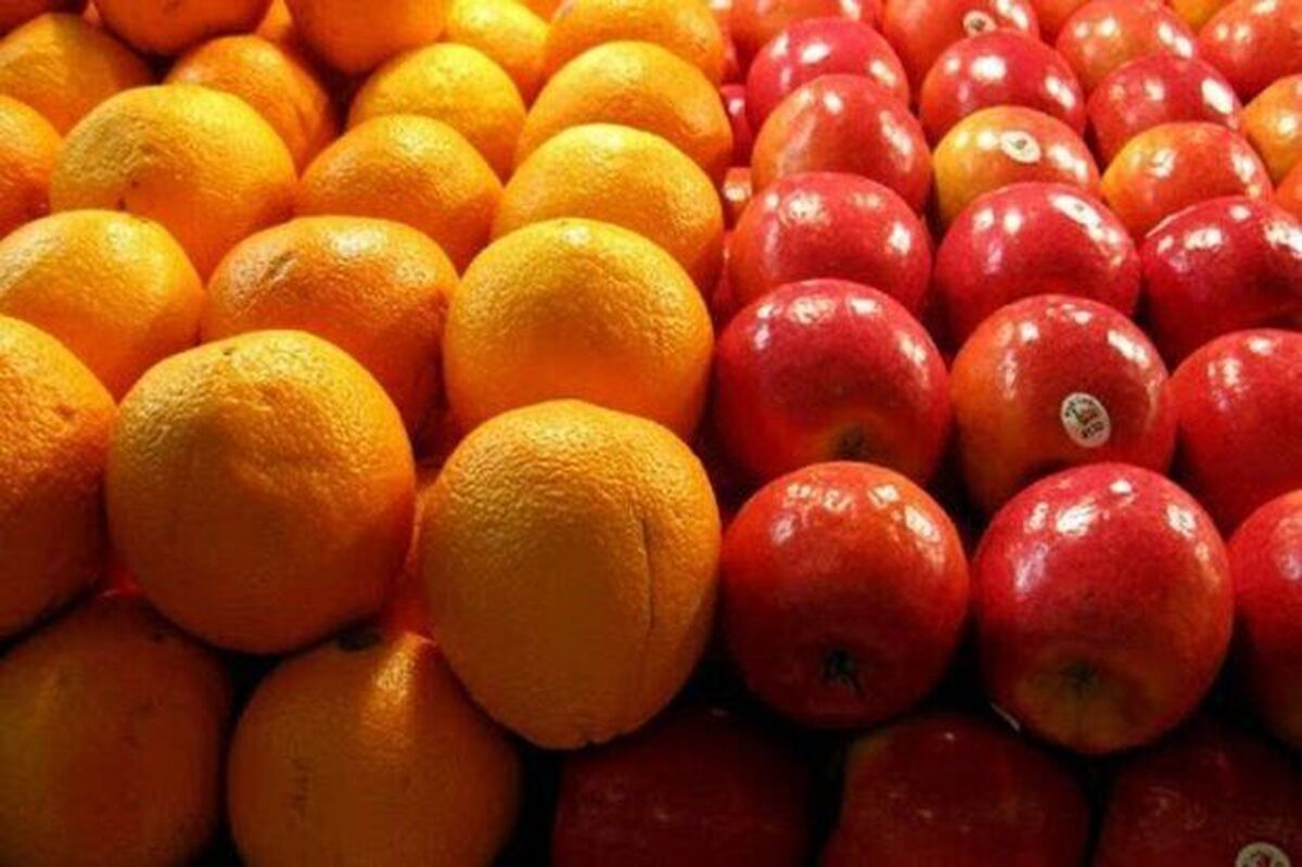 ۱۵ هزار تن میوه شب عید آماده توزیع شد