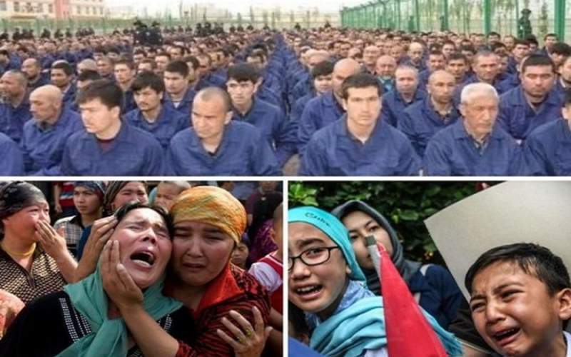 رژیمهای توتالیتر و اتوریتر (اقتدارگرا) چه فرقی دارند؟ رژیمهای توتالیتر و اتوریتر (اقتدارگرا) چه فرقی دارند؟