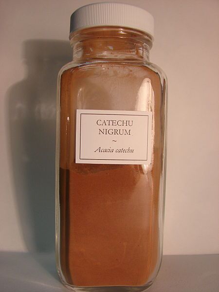 کاتچو سیاه؛ درباره یک گیاه بسیار مفید (+عکس) کاتچو سیاه؛ درباره یک گیاه بسیار مفید (+عکس)