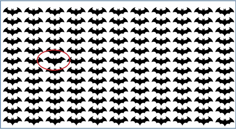 خفاش متفاوت را سریع پیدا کن (معمای تصویری) خفاش متفاوت را سریع پیدا کن (معمای تصویری)