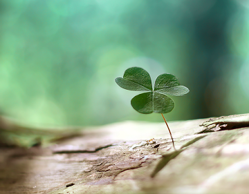 امید و ناامیدی مردم از کجا می‌آید؛ حرف مخالفان یا عمل مدعیان؟