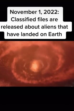 پیشگویی یک مسافر زمان از اتفاقات آینده؛ فرار خوک زامبی و خلع جو بایدن پیشگویی یک مسافر زمان از اتفاقات آینده؛ فرار خوک زامبی و خلع جو بایدن