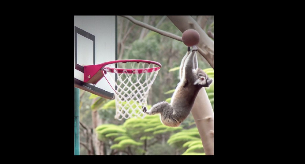 هوش مصنوعی و تحول در روند تولید تصاویر هوش مصنوعی و تحول در روند تولید تصاویر