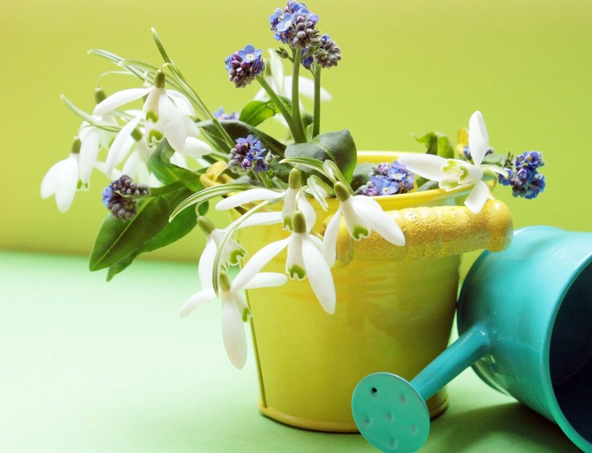 ۴ روش خلاقانه برای آبیاری گیاهان آپارتمانی در طول مسافرت (+عکس)