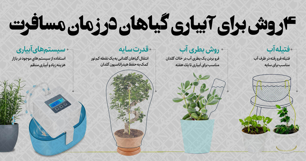 ۴ روش خلاقانه برای آبیاری گیاهان آپارتمانی در طول مسافرت