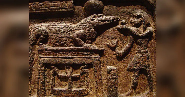 ۱۳ روش درمانی عجیب و غریب در طول تاریخ؛ از خمیر موش تا مربای جنازه