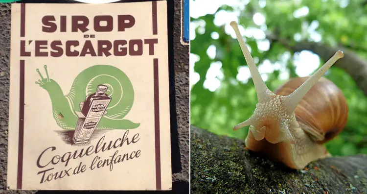 ۱۳ روش درمانی عجیب و غریب در طول تاریخ؛ از خمیر موش تا مربای جنازه