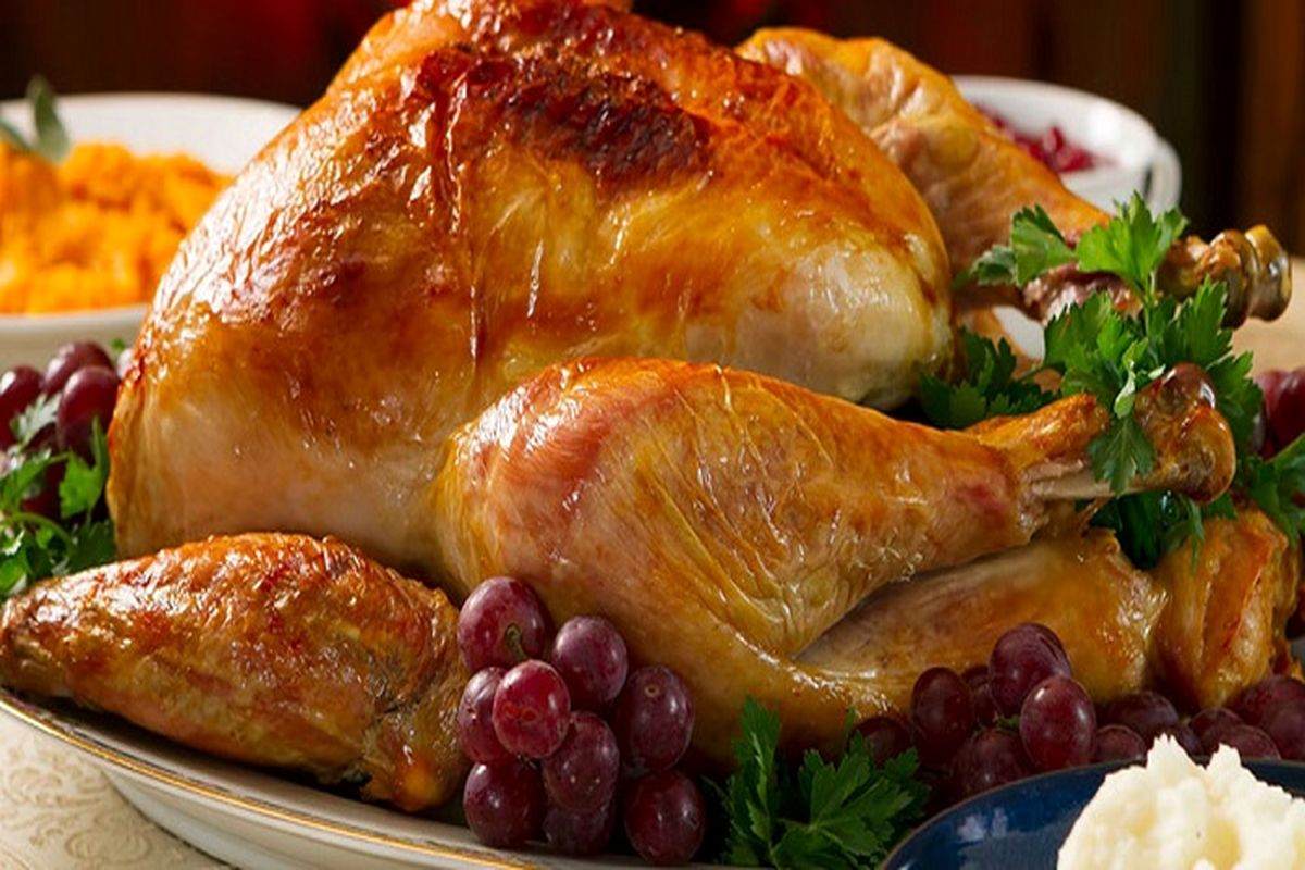 گوشت بوقلمون؛ انتخابی سالم برای وعده های غذایی