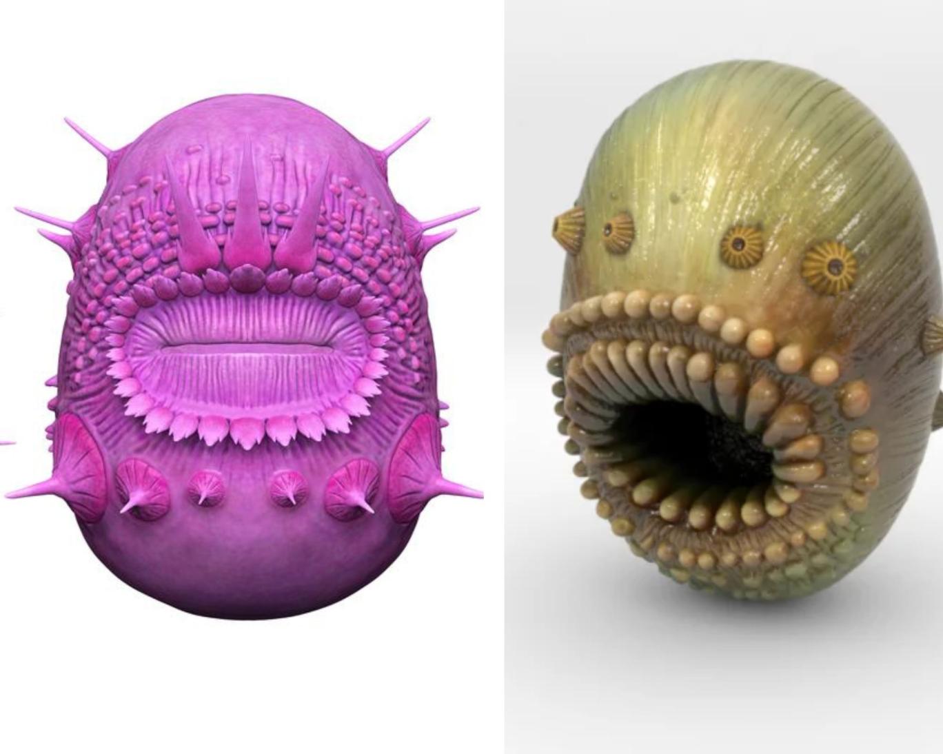 موجود عجیبی که دهان دارد اما مقعد ندارد! موجود عجیبی که دهان دارد اما مقعد ندارد!