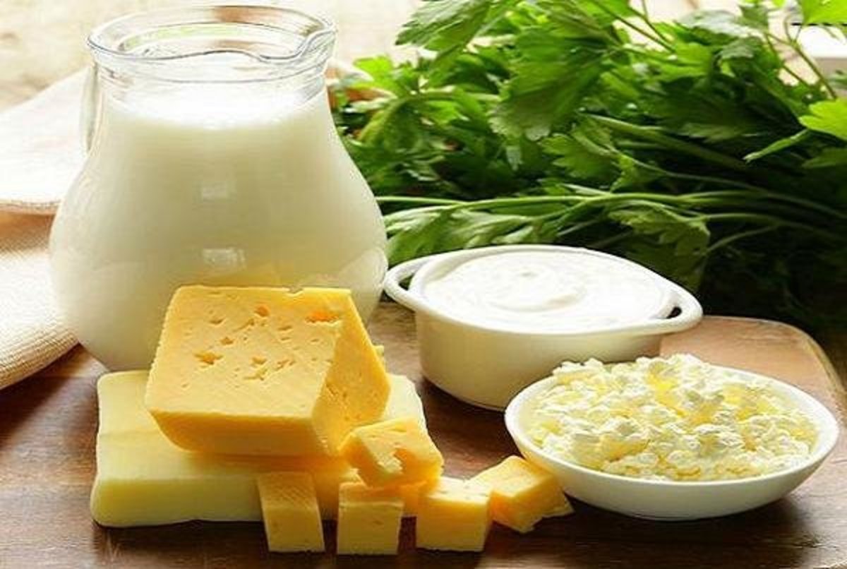 بهترین مواد غذایی برای سلامت روده‌ها