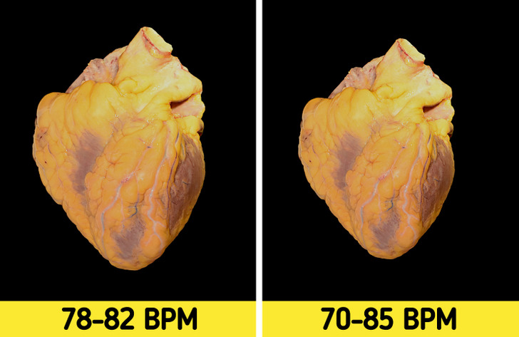 10 راز عجیب درباره بدن انسان که نمی‌ دانستید