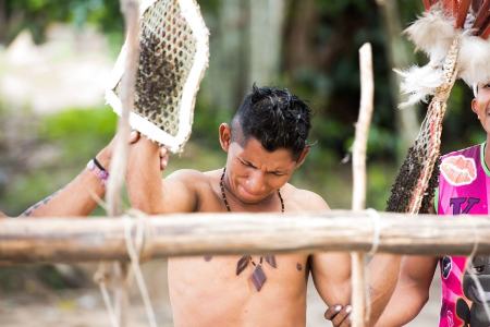 مورچه‌ی گلوله‌زن با دردناک‌ترین نیش روی زمین