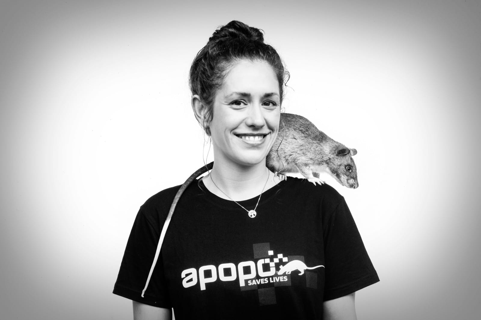 موش ها عضو جدید تیم های جستجو و نجات موش ها عضو جدید تیم های جستجو و نجات