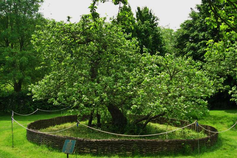 چگونه عبور اینشتین از فیزیک نیوتن به تولد مفهوم «سیاهچاله» منتهی شد؟ چگونه عبور اینشتین از فیزیک نیوتن به تولد مفهوم «سیاهچاله» منتهی شد؟