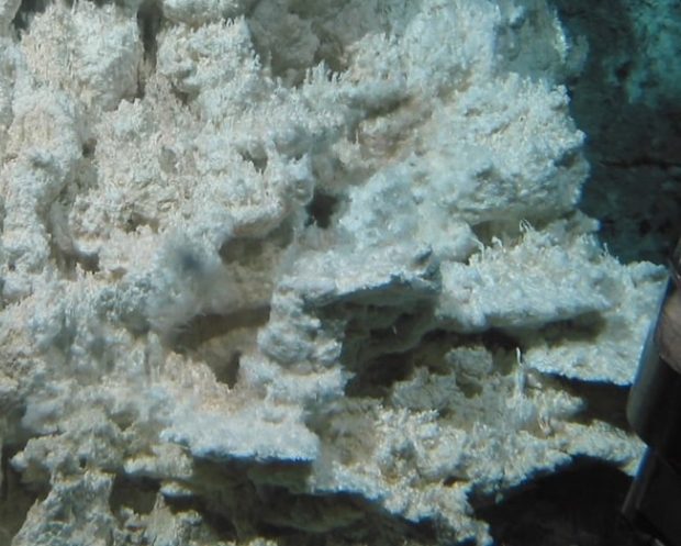 کشف یک شهر گمشده عجیب در قعر اقیانوس/ تا به امروز شبیه آن را ندیده ایم کشف یک شهر گمشده عجیب در قعر اقیانوس/ تا به امروز شبیه آن را ندیده ایم