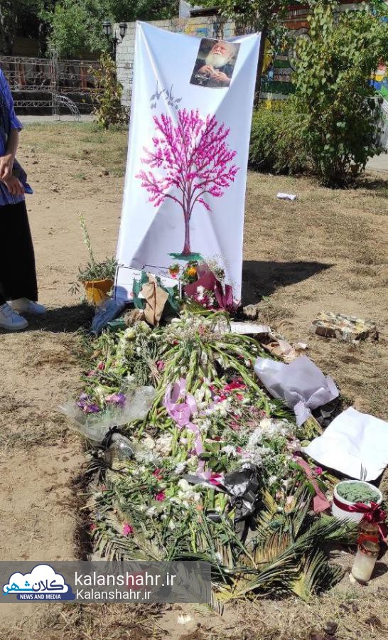 اشتباه فروشنده،هدیه ی همایون شجریان را پرماجرا کرد؛درختچه های ارغوان مزار «سایه» در باغ محتشم رشت «لِلِکی» از آب درآمد!/تصاویر