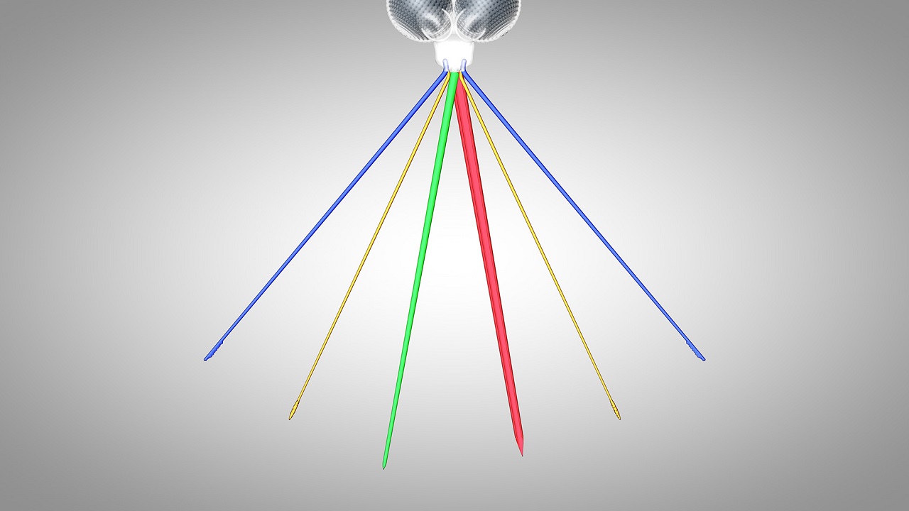 مکانیسم پیچیده نیش پشه برای مکیدن خون انسان؛ استفاده از شش سوزن! مکانیسم پیچیده نیش پشه برای مکیدن خون انسان؛ استفاده از شش سوزن!