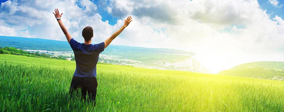 زندگی، زندگانی و زنده‌مانی