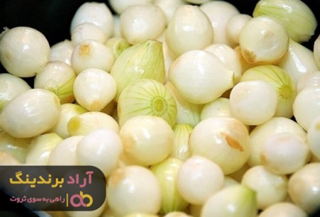 فواید پیاز سفید صادراتی برای تقویت ریشه مو فواید پیاز سفید صادراتی برای تقویت ریشه مو