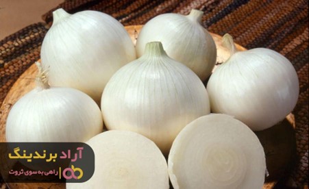 فواید پیاز سفید صادراتی برای تقویت ریشه مو فواید پیاز سفید صادراتی برای تقویت ریشه مو