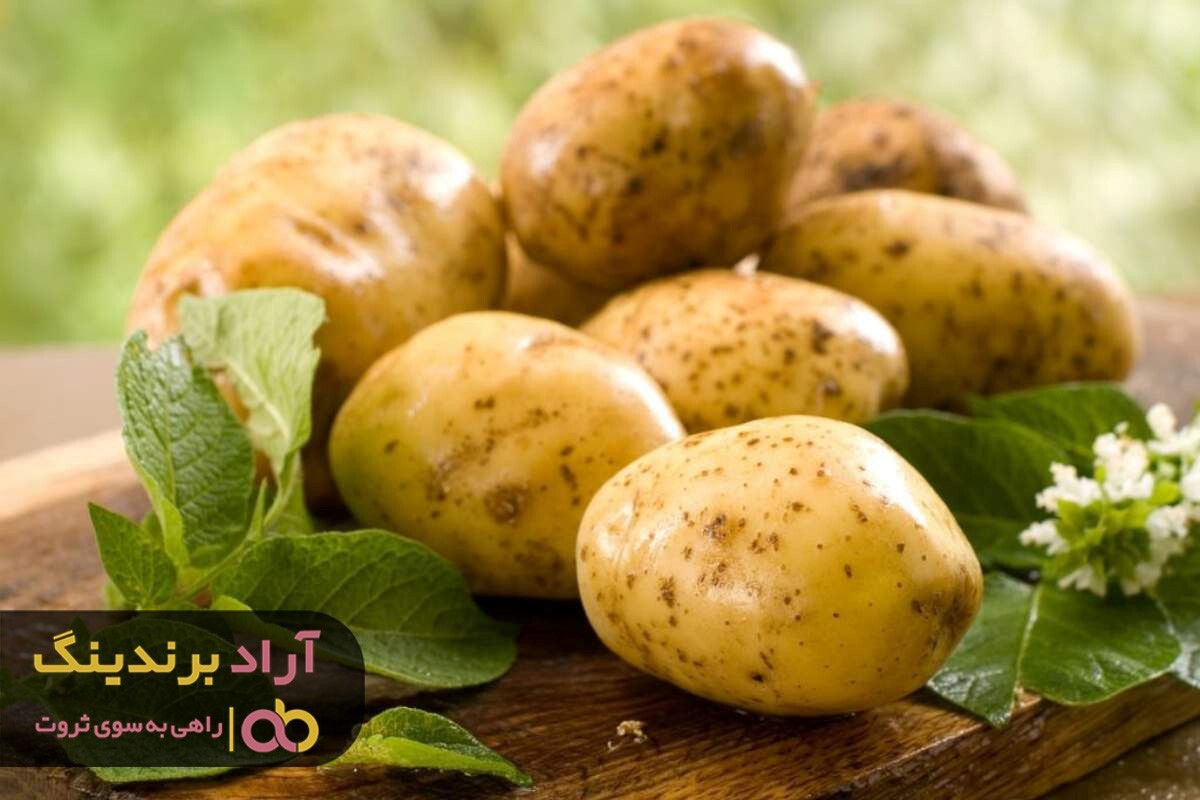 قیمت سیب زمینی شیرین و خواص درمانی آن