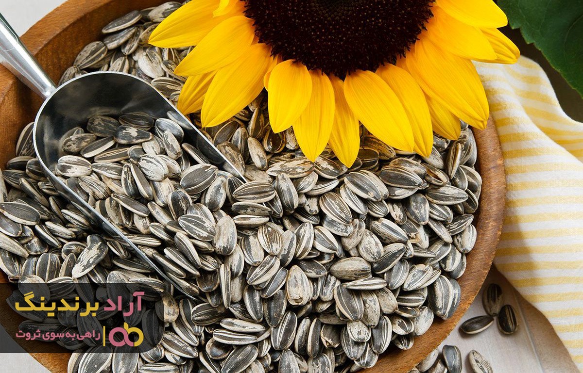 فواید تخمه آفتابگردان چینی برای پوست و مو فواید تخمه آفتابگردان چینی برای پوست و مو