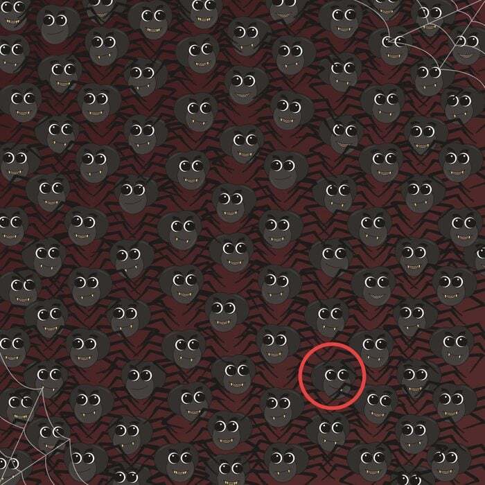 باشگاه مغز | عنکبوت متفاوت را پیدا کنید! (معمای تصویری)