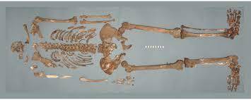 تیکو براهه؛ پلی میان کوپرنیک و کپلر تیکو براهه؛ پلی میان کوپرنیک و کپلر