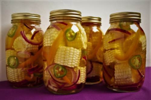 طرز تهیه ترشی بلال؛ خوشمزه و شیک برای پذیرایی طرز تهیه ترشی بلال؛ خوشمزه و شیک برای پذیرایی