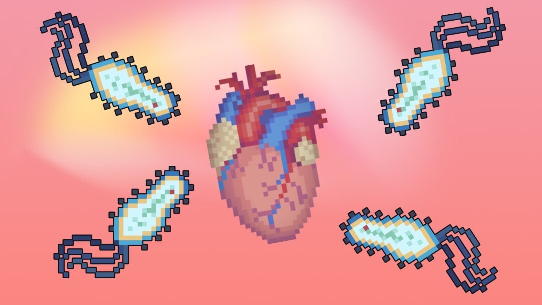 هر آنچه باید در مورد اندوکاردیت بدانیم هر آنچه باید در مورد اندوکاردیت بدانیم