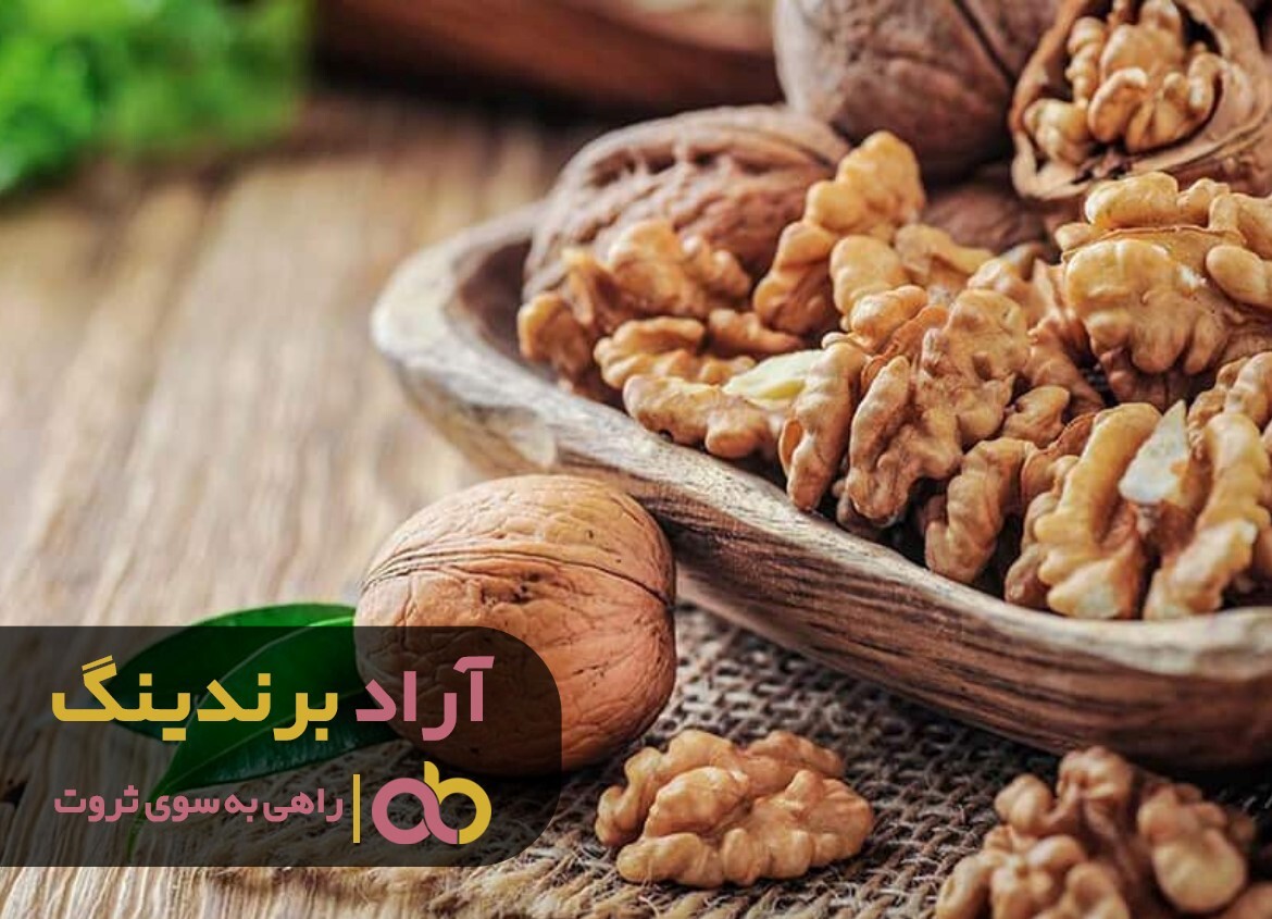 خرید گردو تویسرکان با پوست به صرفه است خرید گردو تویسرکان با پوست به صرفه است