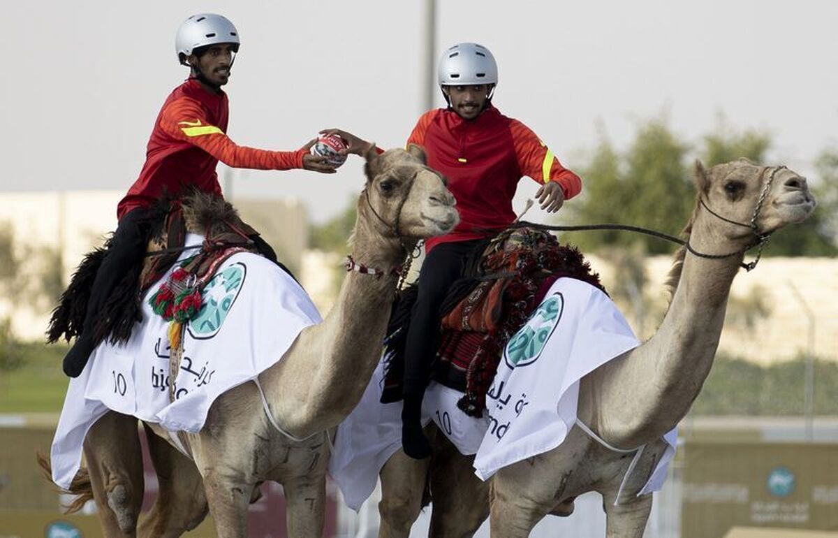 هندبال با شتر (عکس)