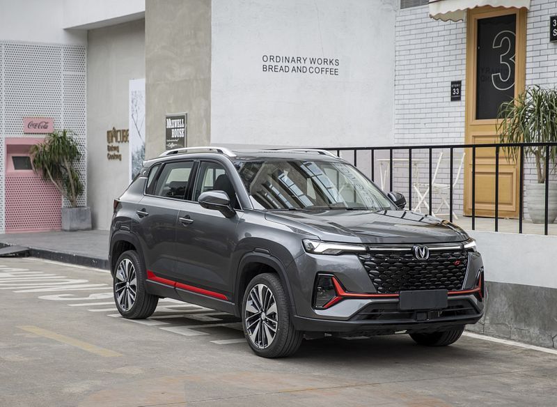 چانگان (+عکس) چانگان (+عکس)