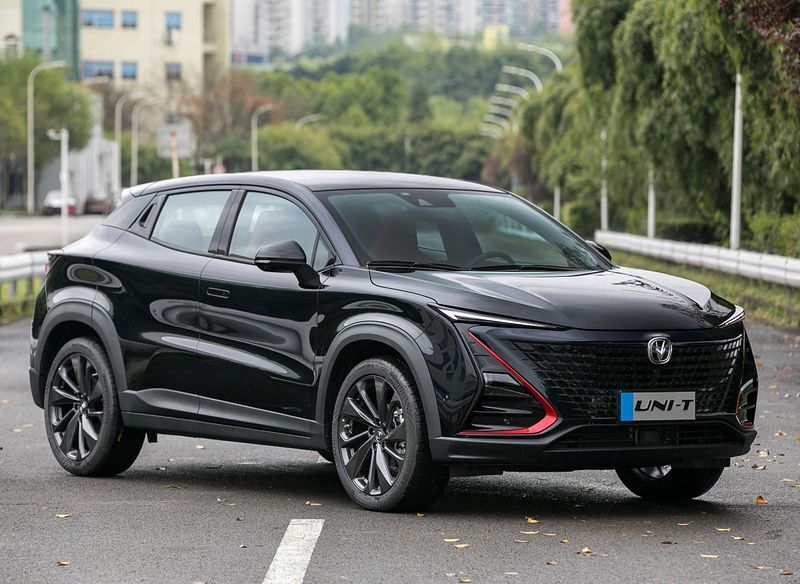 چانگان (+عکس) چانگان (+عکس)