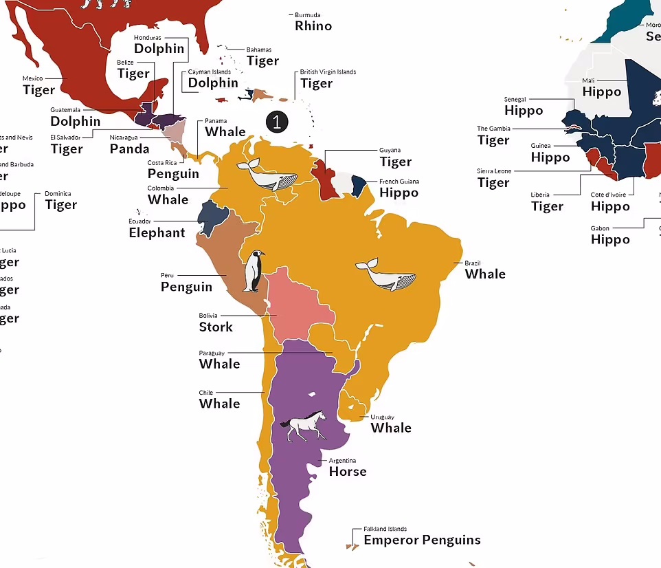 محبوب ترین حیوانات در نقاط مختلف جهان کدامند؟ (اینفوگرافیک)