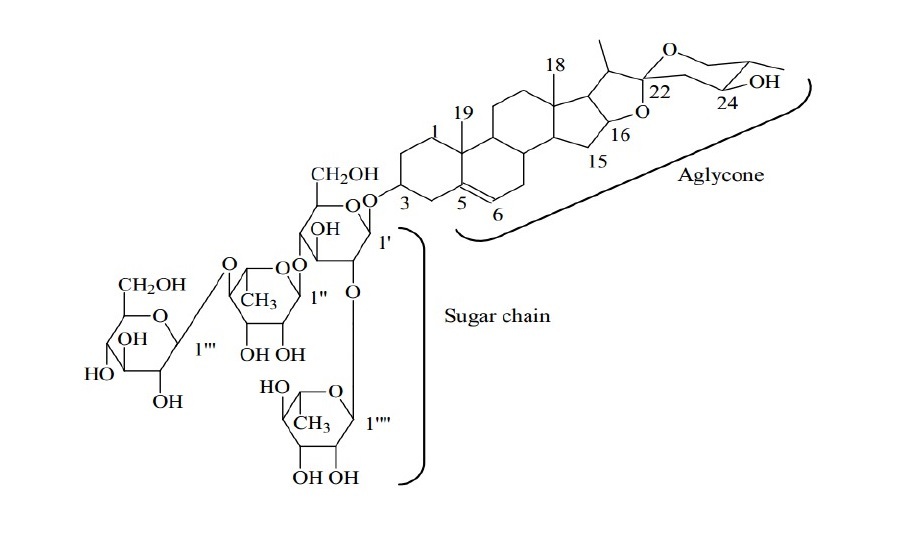 ساپونین ها؛ ترکیب طبیعی مهم برای بدن که مشکلات را می شورد و می برد! (+عکس)