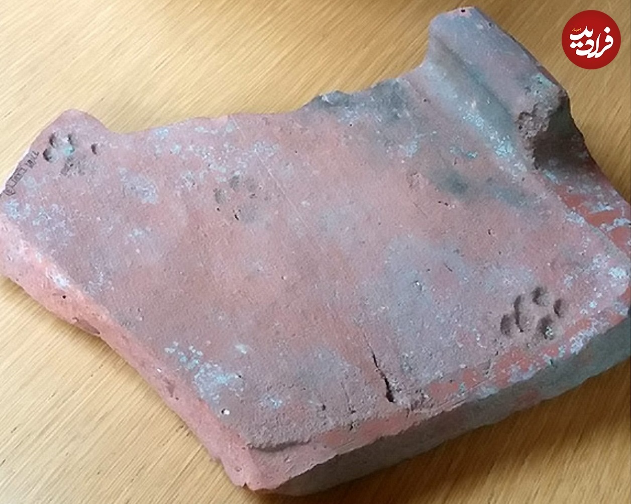 سفال کشف شده در گلاستر