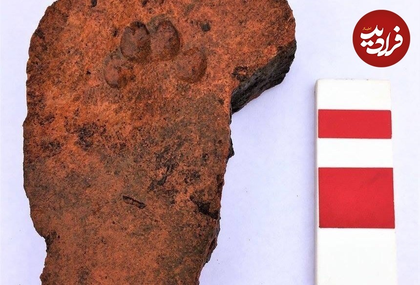 سفال کشف شده در لینکلن