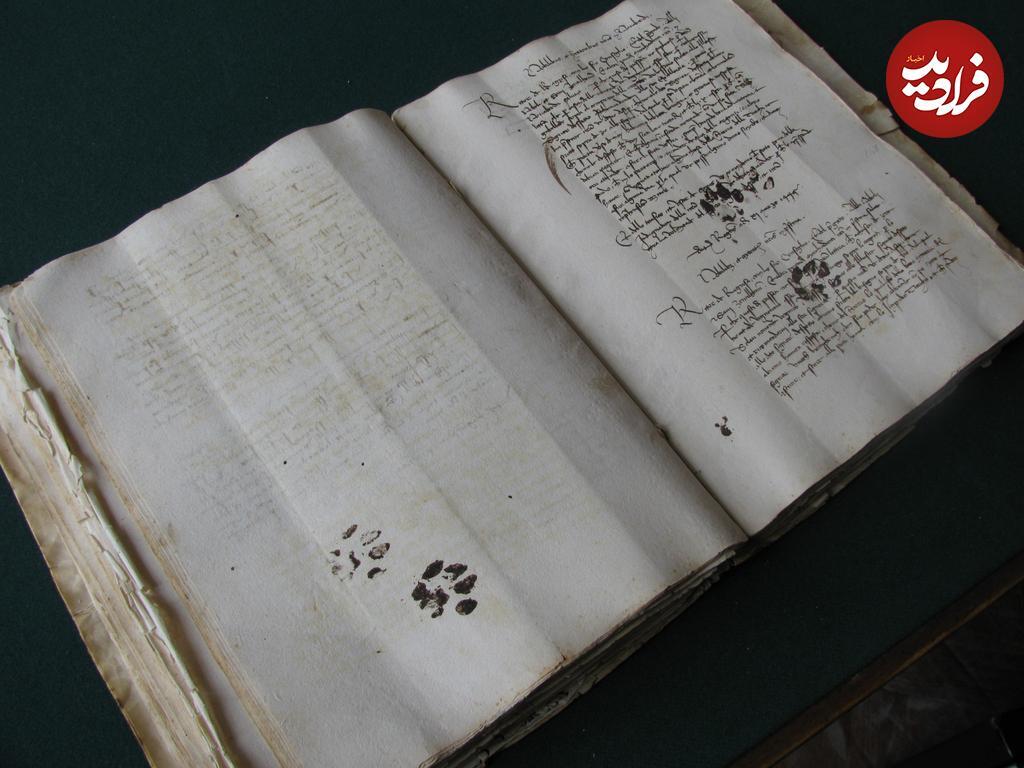 ردپای جوهری گربه روی کتاب