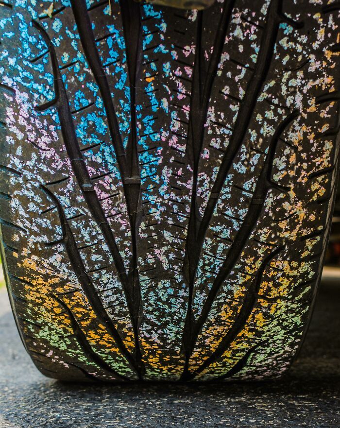 تصادفیترین لحظاتی که دوربینها شکار کردند و خیره کننده شد (عکس) تصادفیترین لحظاتی که دوربینها شکار کردند و خیره کننده شد (عکس)