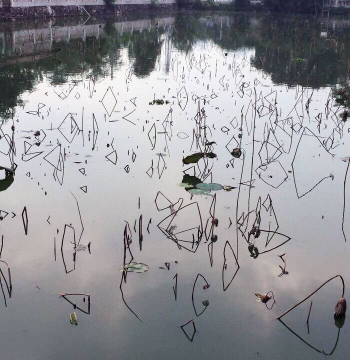 تصادفیترین لحظاتی که دوربینها شکار کردند و خیره کننده شد (عکس) تصادفیترین لحظاتی که دوربینها شکار کردند و خیره کننده شد (عکس)