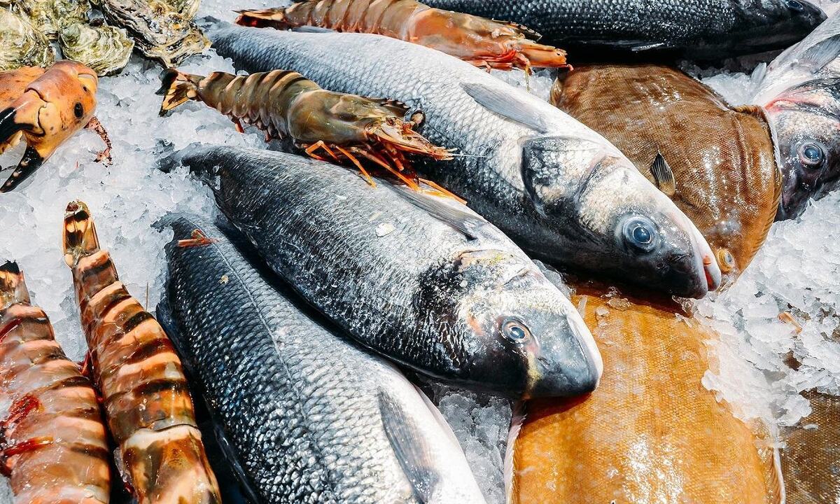 چگونه بهترین ماهی را بخریم؟