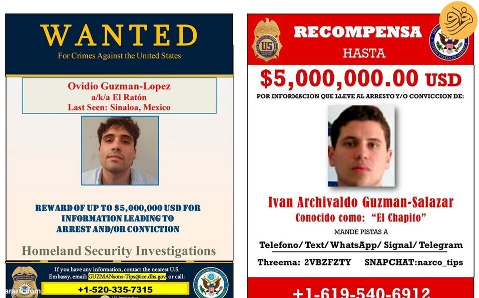 پسران ال چاپو چگونه شکار شدند؟